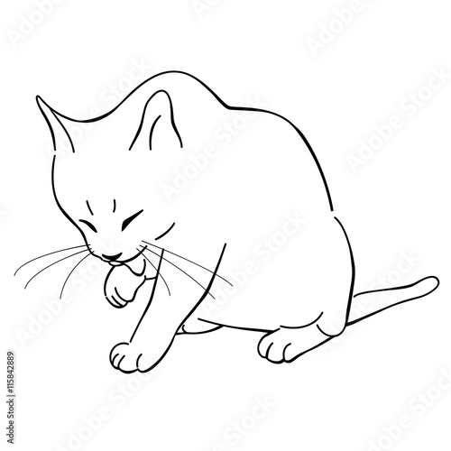 cat grooming herself line