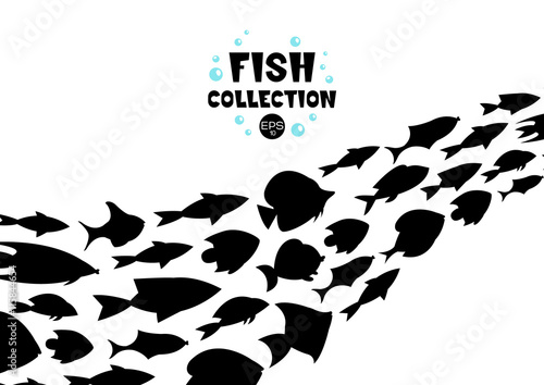 Cartoon fish collection background