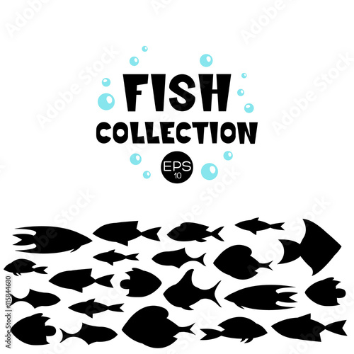 Cartoon fish collection background