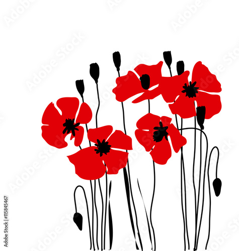 poppy floral vector illustration