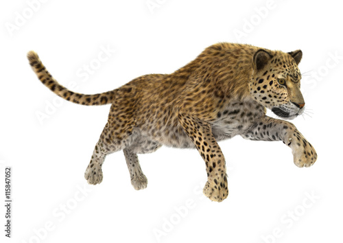 Fototapeta Naklejka Na Ścianę i Meble -  3D Rendering Big Cat Leopard