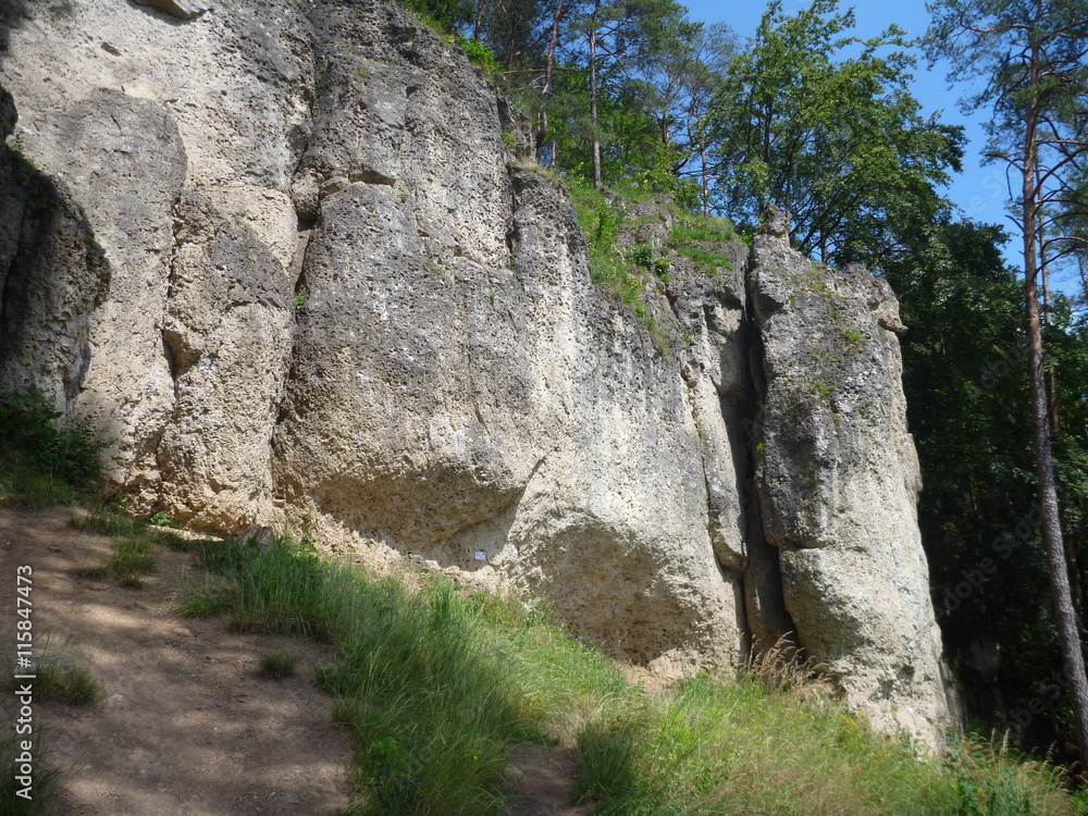 limestone rock in a climbing area frenkenjura