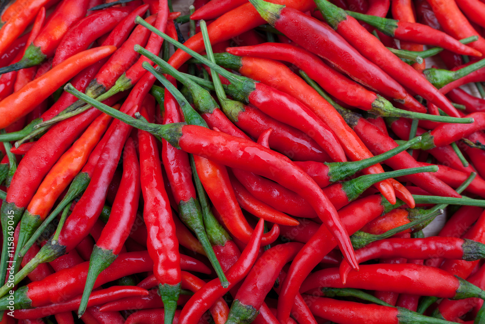 red chili or chilli cayenne pepper