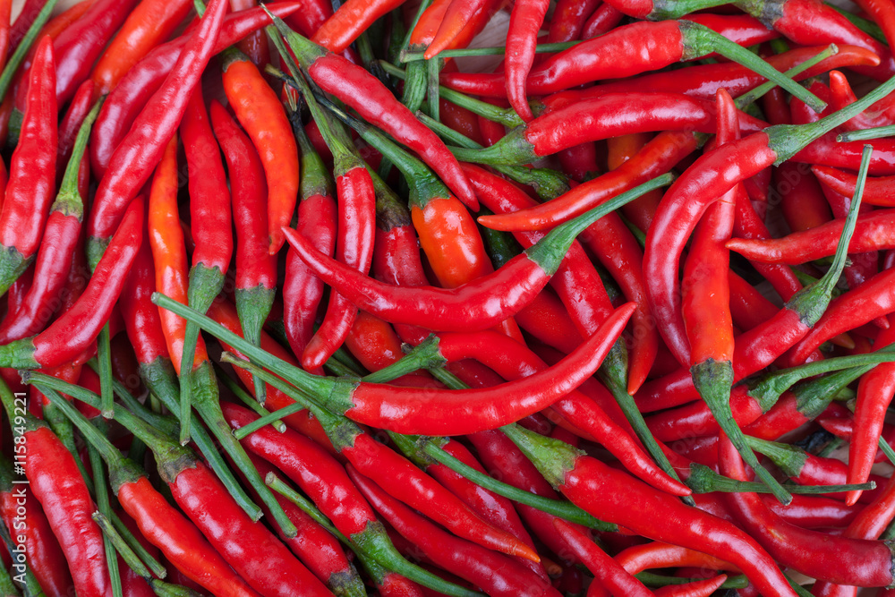 red chili or chilli cayenne pepper