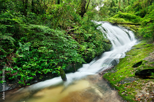Waterfall in deep forest