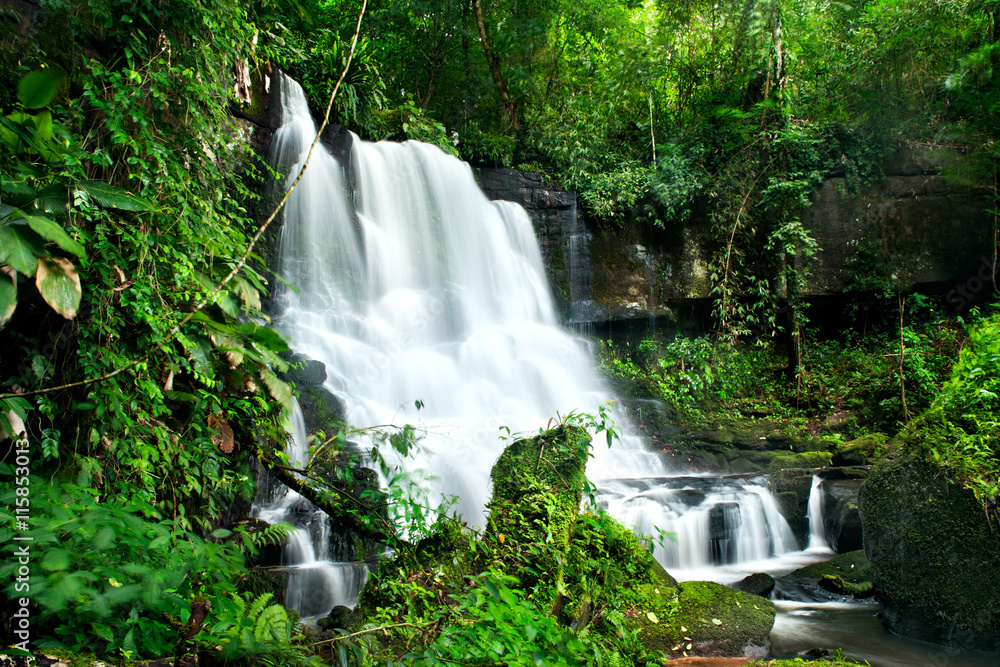 Obraz premium Waterfall in deep forest