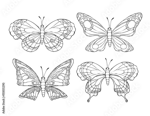Collection of pretty cartoon butterflies isolated on white background. © verock