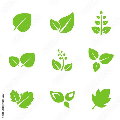 Set of Green Leaves Design Elements.