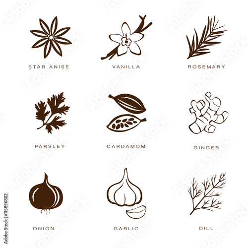 Spices, Condiments and Herbs 