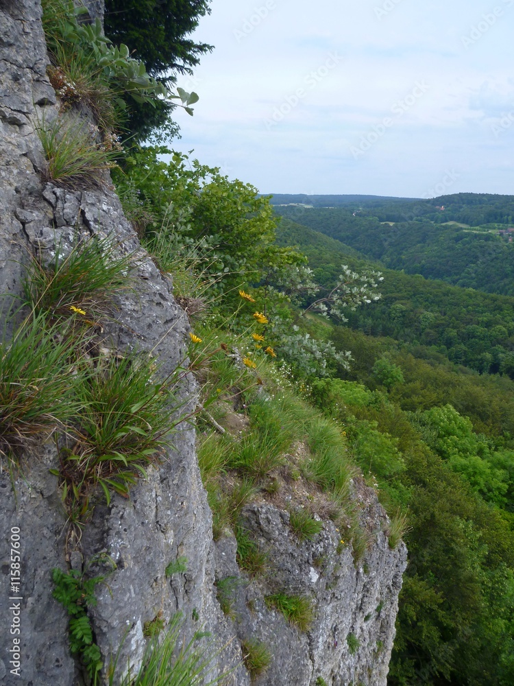 limestone rock in a climbing area frenkenjura