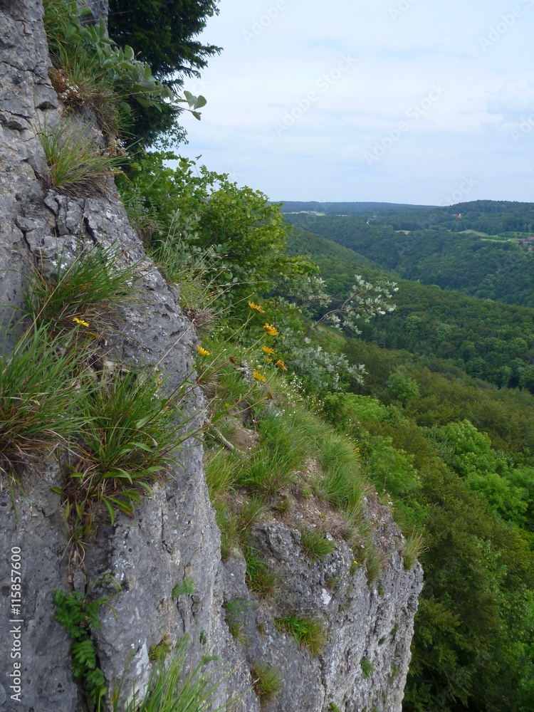 limestone rock in a climbing area frenkenjura limestone rock in a climbing area frenkenjura
