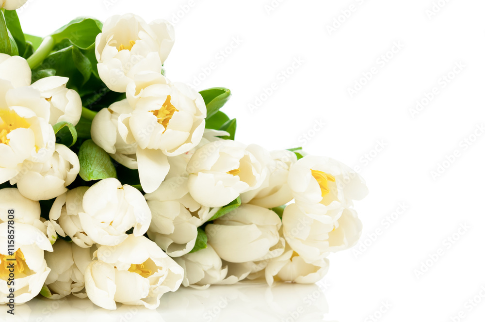 Bouquet of tulips isolated on white background Bouquet of tulips isolated on white background