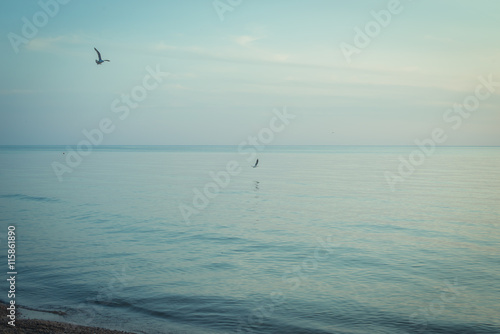 Seagulls flying over the calm sea at the sunset