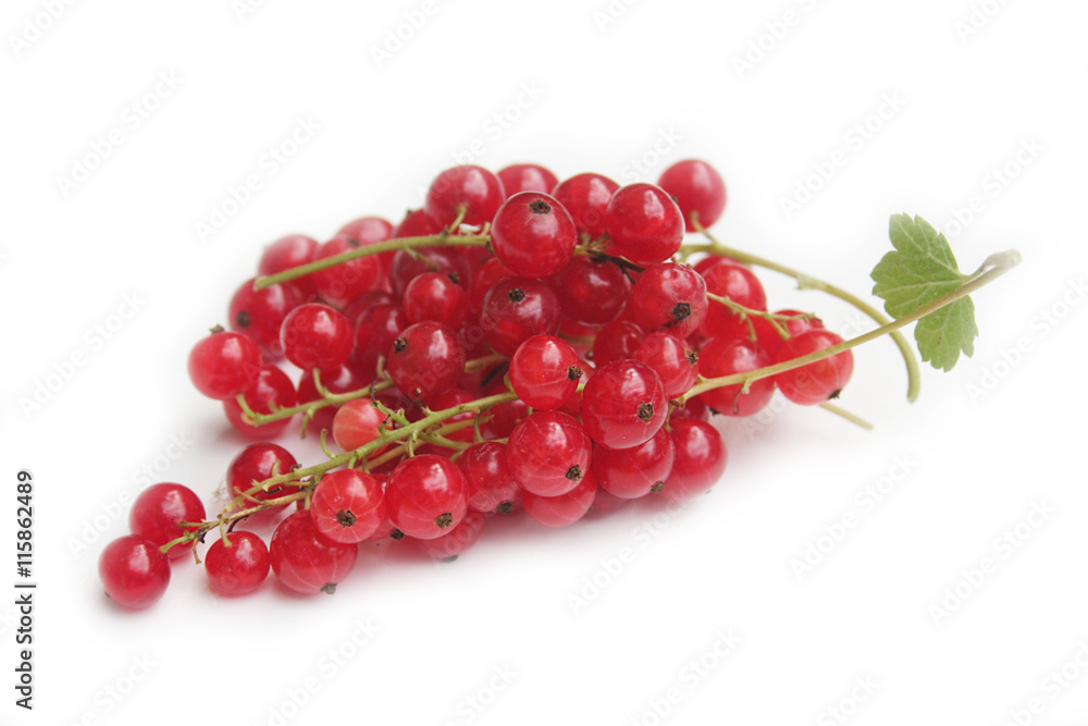 ribes. frutti rossi isolati su sfondo bianco