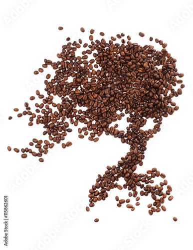 Tree shape made of coffee beans over white background
