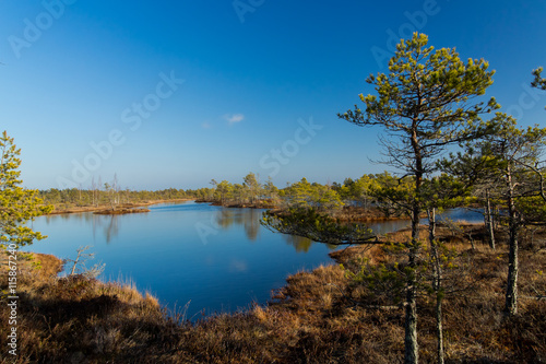 Landscape of national park with swamps in Latvia.