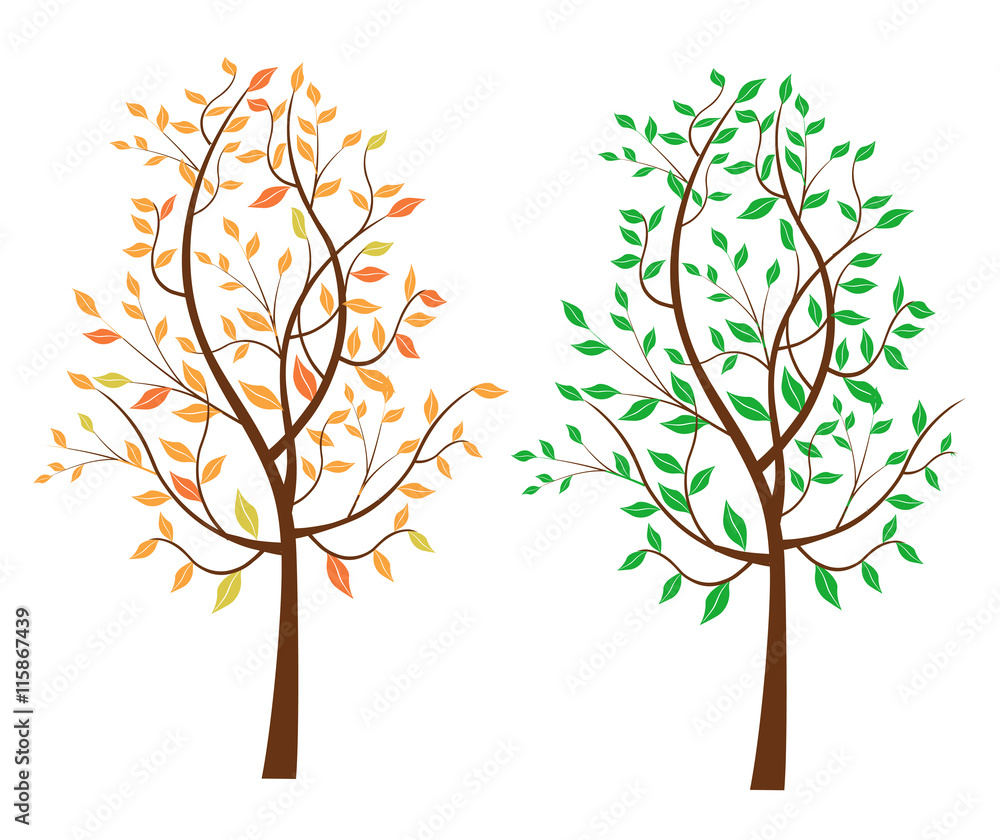 Summer autumn leafy tree.
 Stylized illustration of leafy summer and autumn tree. Vector available.

