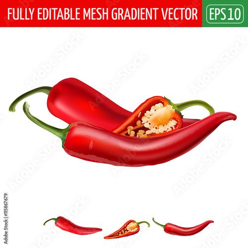 Hot red chili peppers on white background. Vector illustration