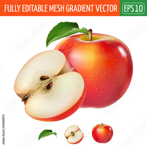 Red apple on white background. Vector illustration