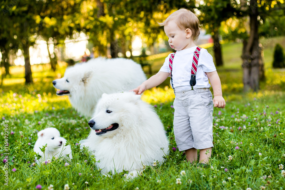 Little boy is standing with a white dog summer day in the park Little boy is standing with a white dog summer day in the park