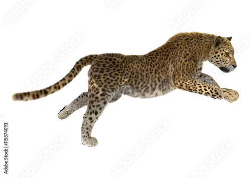 3D Rendering Big Cat Leopard