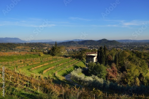 Italia colli orientali del Friuli 
