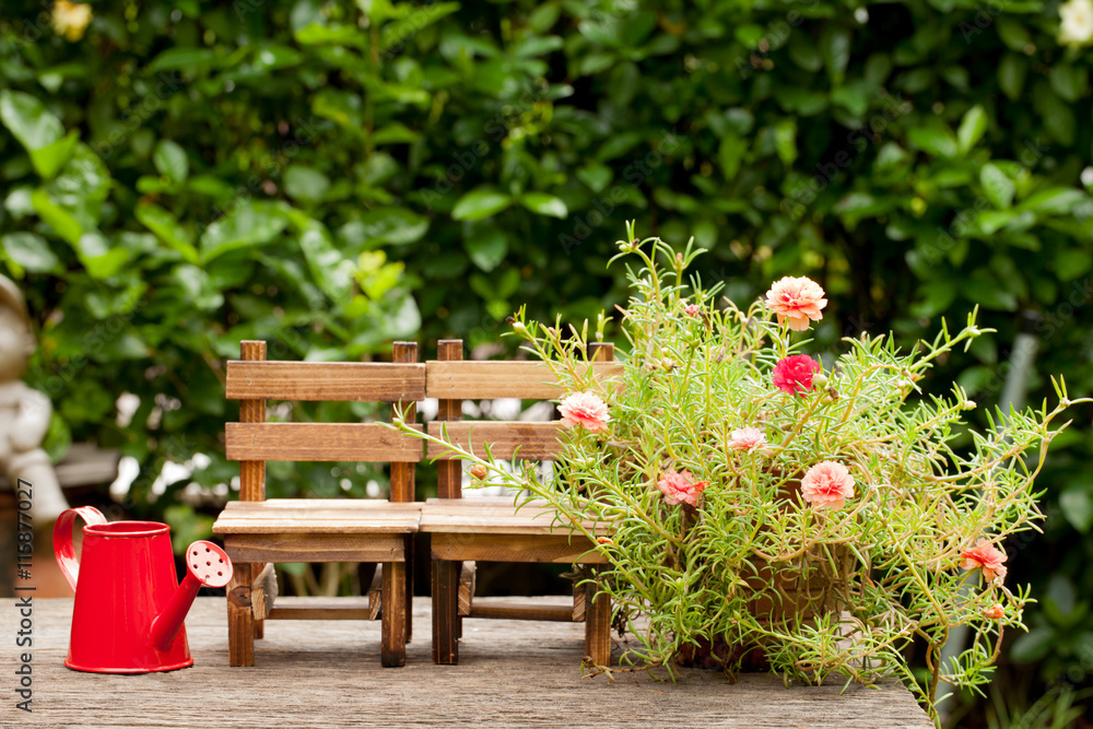 Wooden chairs and red watering can. Small flower garden, Concept Wooden chairs and red watering can. Small flower garden, Concept