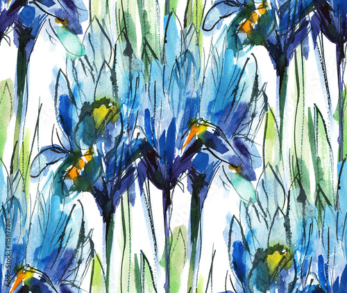 print seamless pattern with bouquet of blue irises on a white background, watercolor sketch photo