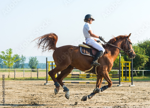 Girl riding a horse © Dusan Kostic