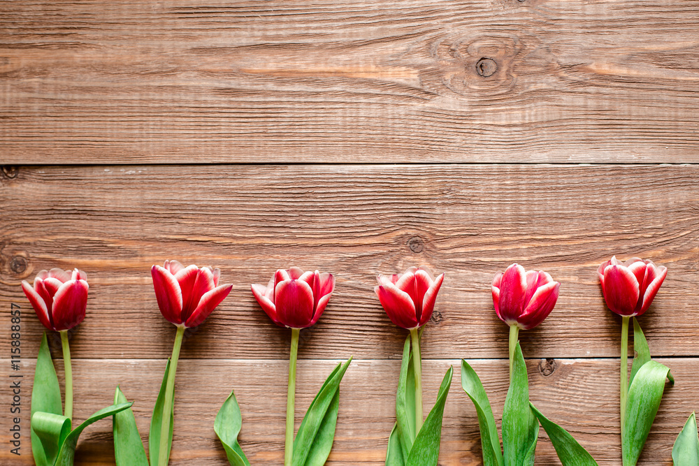 Border of red tulips. Flowers on wooden background. Copy spase.