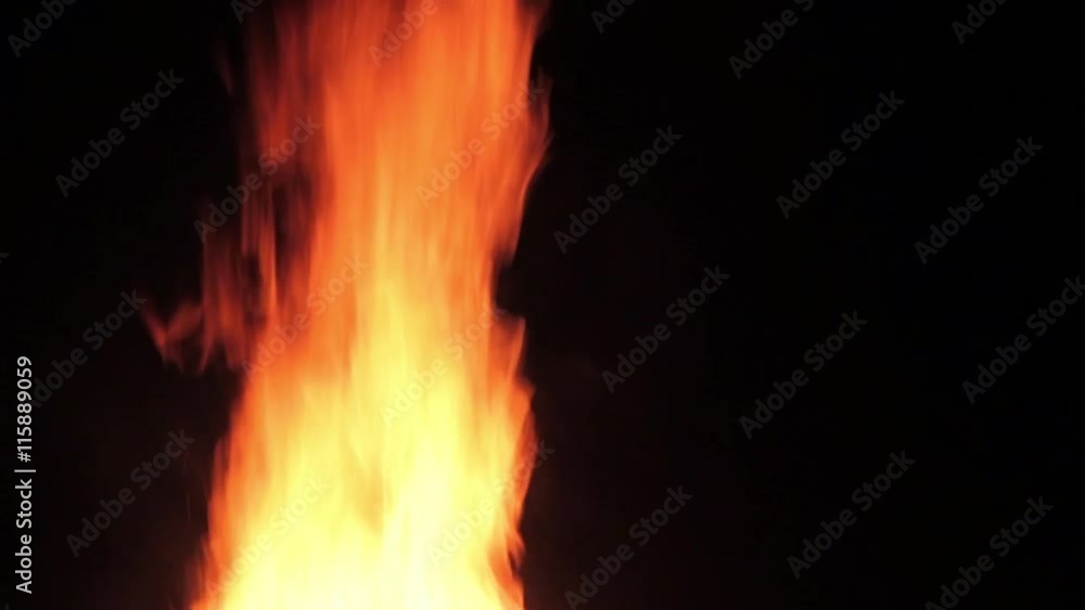 The fire is burning isolated on black background. The fireplace. The fire is burning isolated on black background. The fireplace.