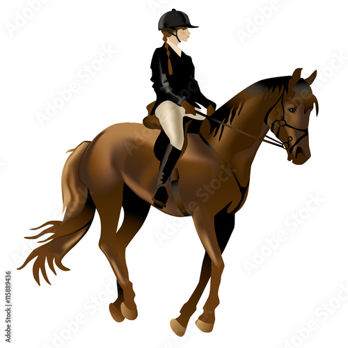 Horse Rider Woman. Realistic vector illustration