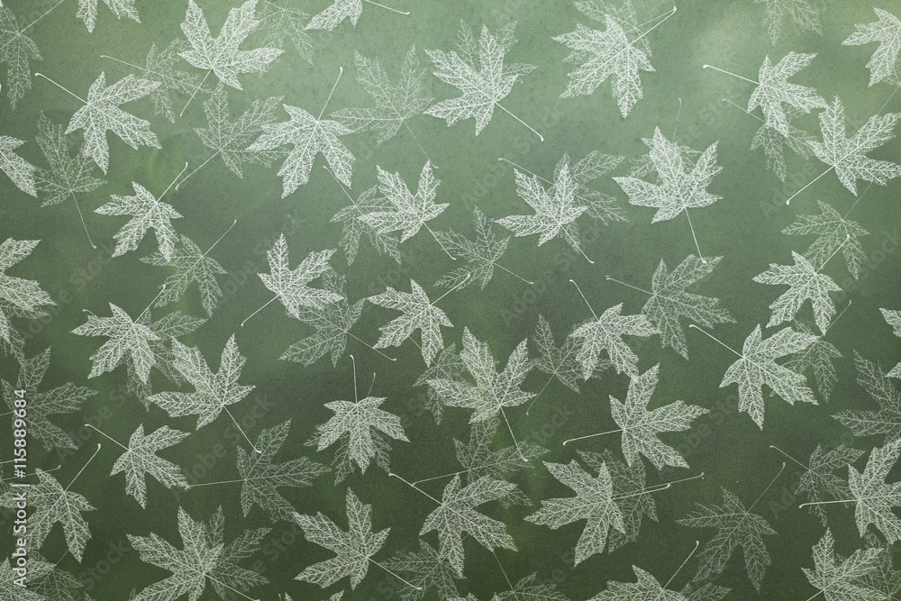 Foliage pattern Foliage pattern