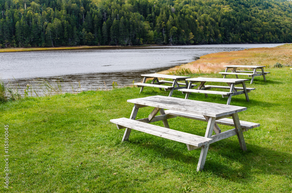 Empty Picnic Tables in a Riverside Recreational Area Empty Picnic Tables in a Riverside Recreational Area
