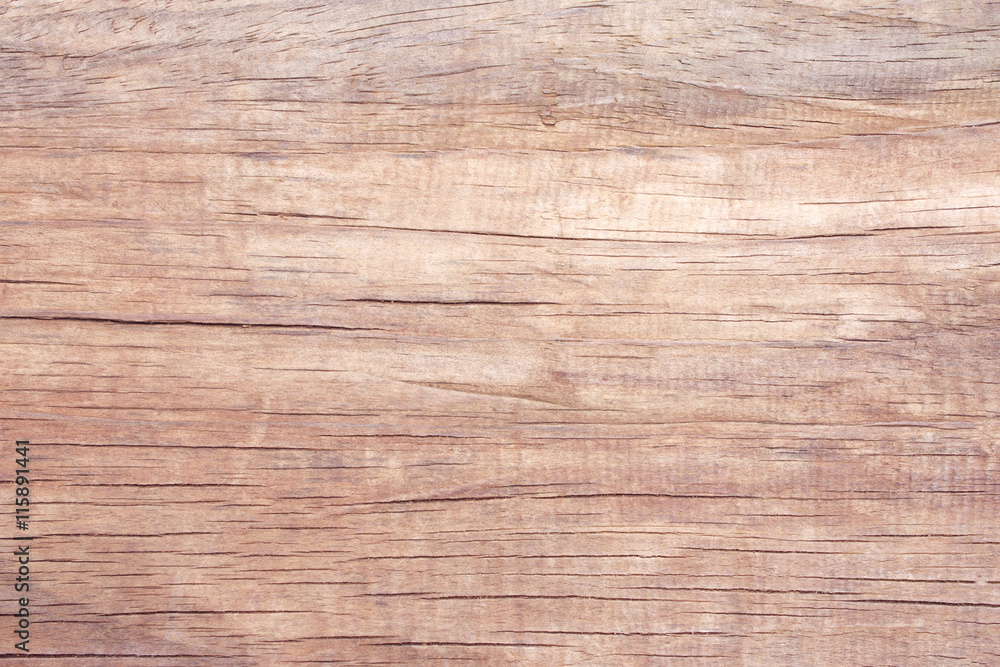 Fototapeta premium Hazel wood surface cracks.