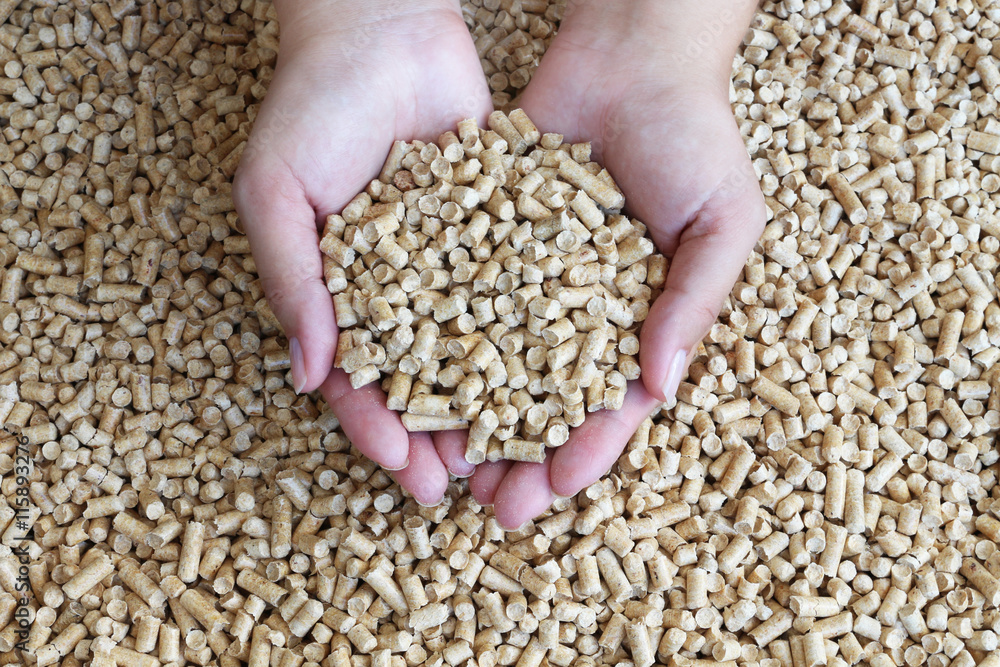 Biofuels. Alternative biofuel from sawdust , wood pellets in hand Biofuels. Alternative biofuel from sawdust , wood pellets in hand
