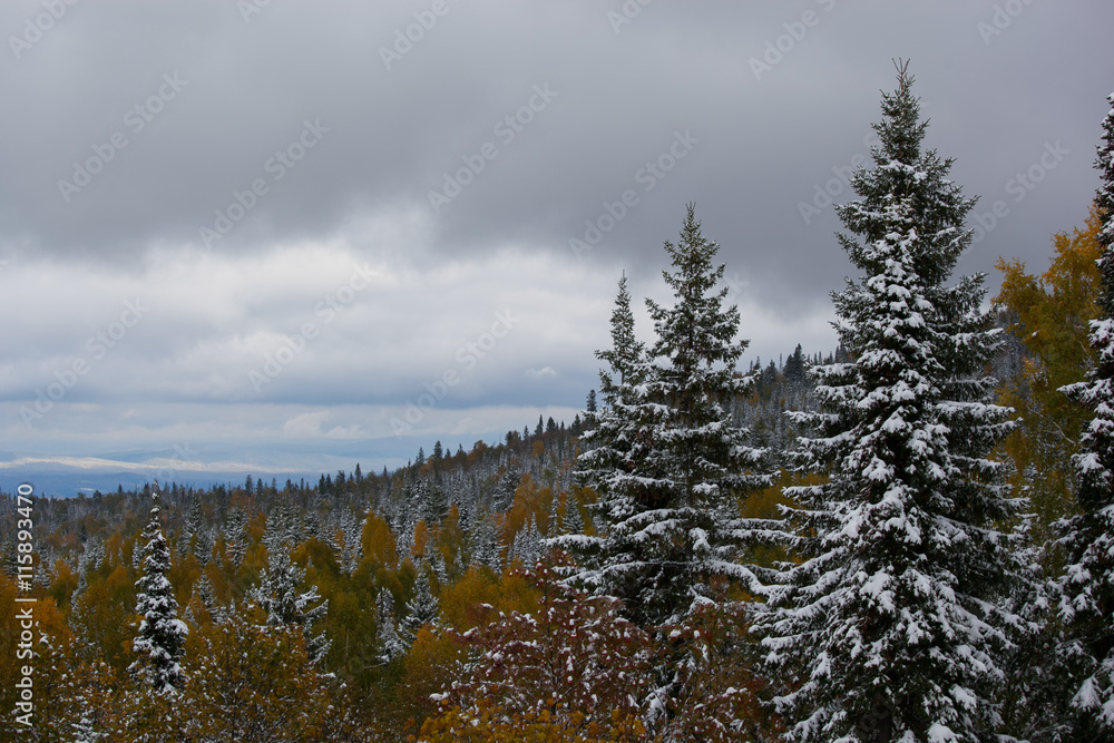 the beginning of winter in the mountains