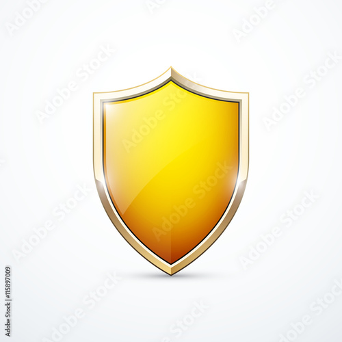 Vector gold shield