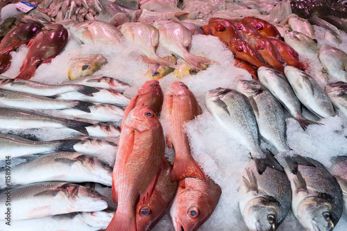 frischer Fisch beim Fischhändler