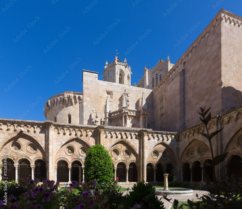 Tarragona Cathedral from gothic  cloister