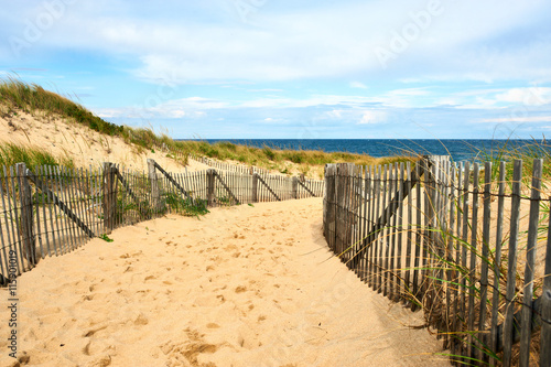 Path way to the beach at Cape Cod © haveseen