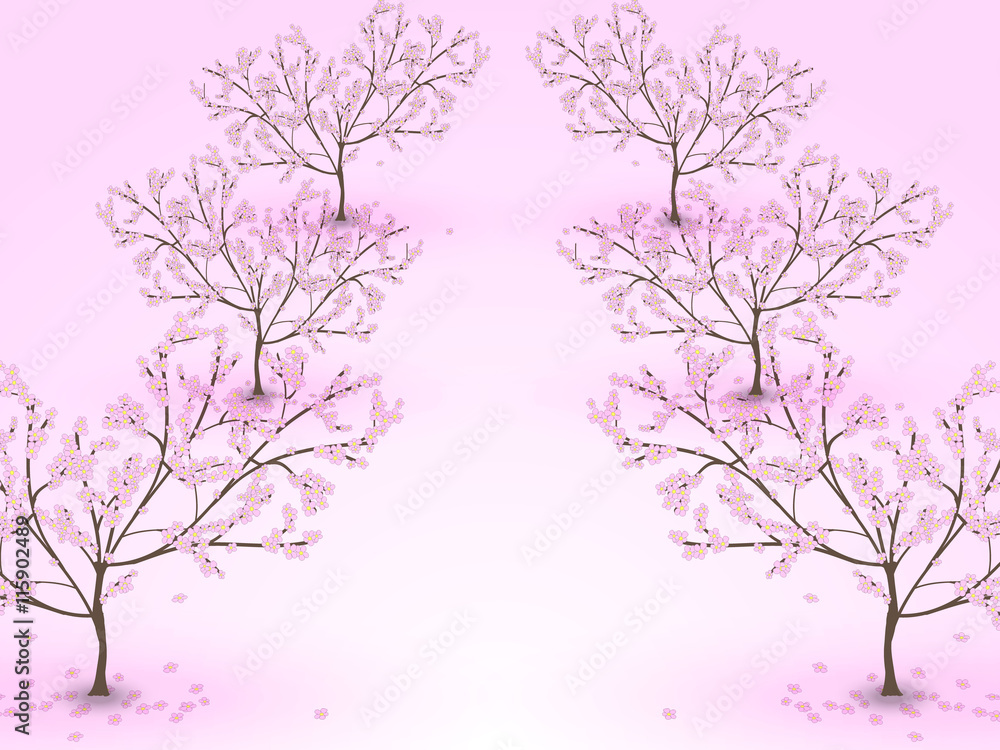 Fototapeta premium An alley of blossoming cherry trees on a pink background