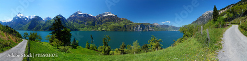 Hiking trail next to a calm mountain lake surrounded by snow covered peaks and lush  green meadows in the Swiss Central Alps. Lake Lucerne  Vierwaldst  ttersee   Swiss. May 2016.  200   view angle.