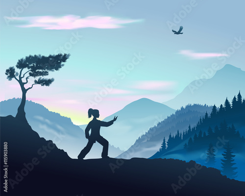 Vector illustration of Tai Chi