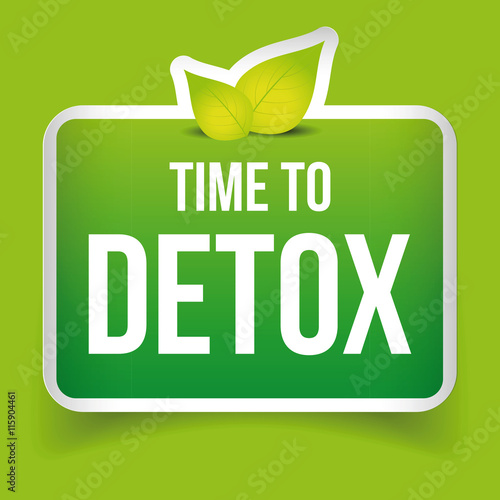 Time to Detox button green vector