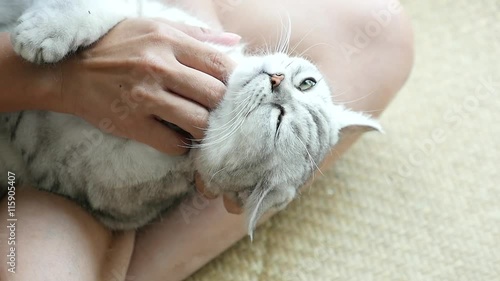 Asian woman playing with her tabby cat,slow motion