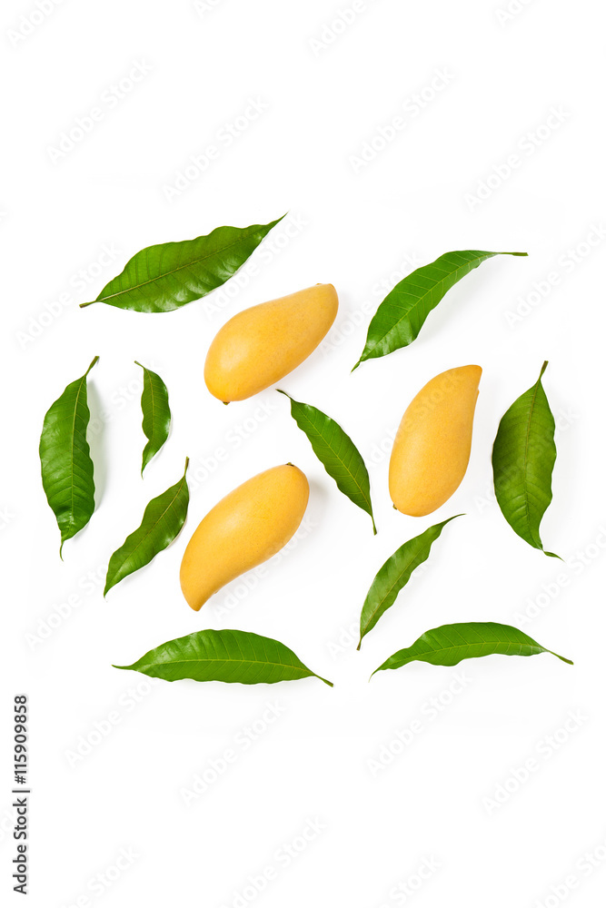 Yellow mango and leaf on white background. Yellow mango and leaf on white background.
