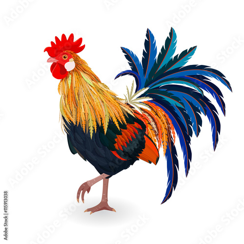 cute colorful Cockerel for your design