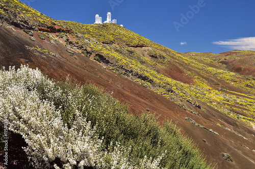 Nationalpark Teide mit Observatorium photo