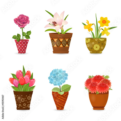 collection of colorful flowers planted in art floral pots for yo